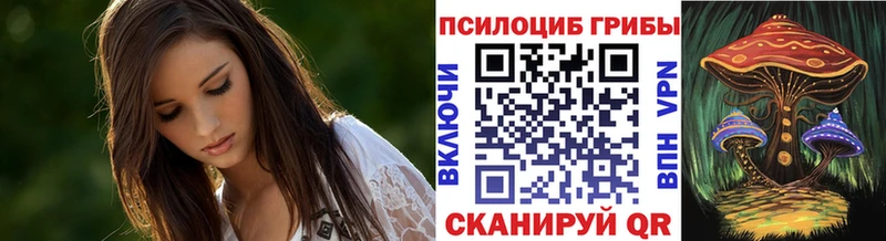 Галлюциногенные грибы Psilocybe  цена   Хасавюрт 